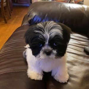 Meet your Posher, Nichole